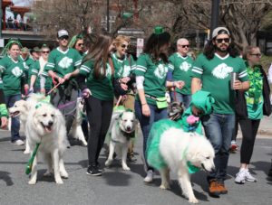 2019 St Patrick's Day Parade Charlotte