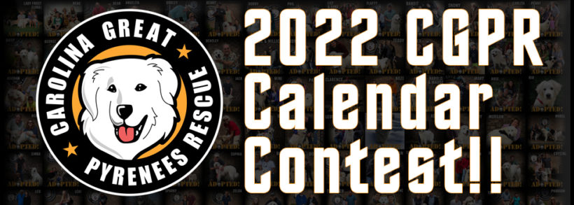2022 CGPR Calendar Contest 2022 CGPR Calendar Contest