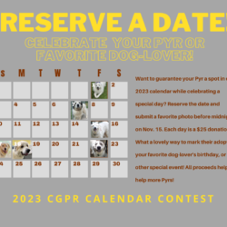 2023 Calendar- reserve a date