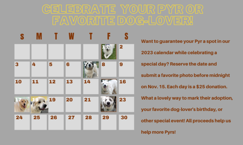 2023 Calendar- reserve a date
