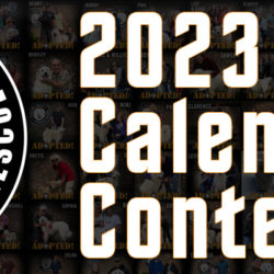 Calendar Contest now open!
