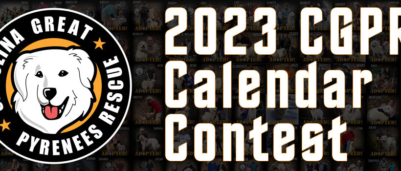 Calendar Contest now open!