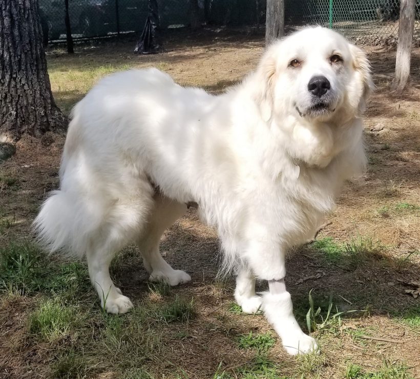 Molly