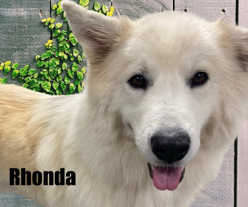 Rhonda