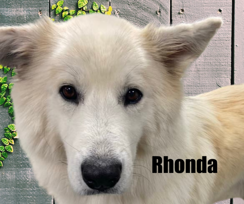 Rhonda