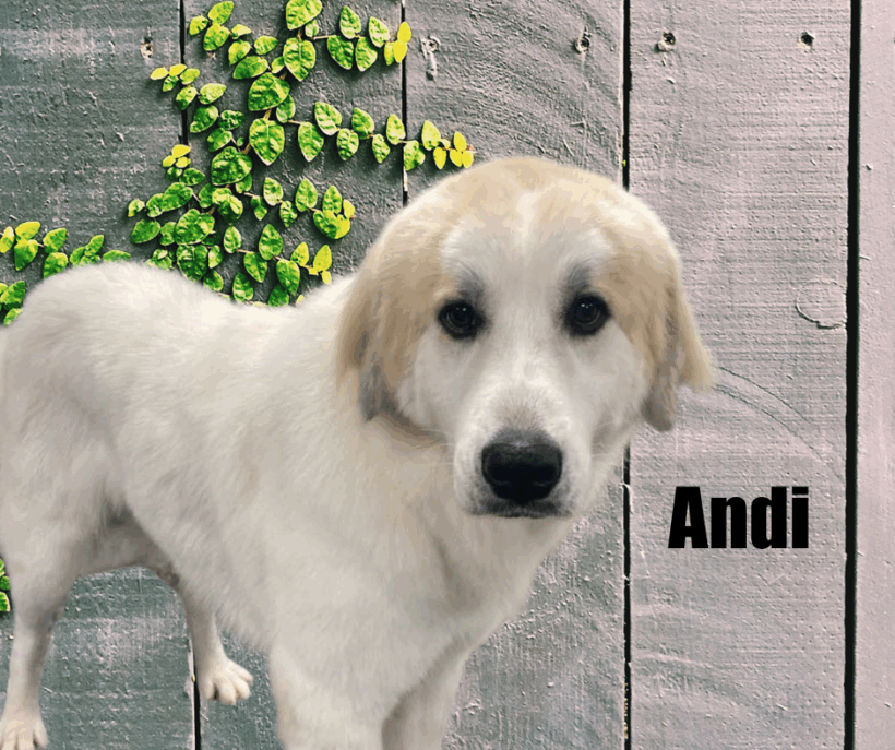 Joy and Andi