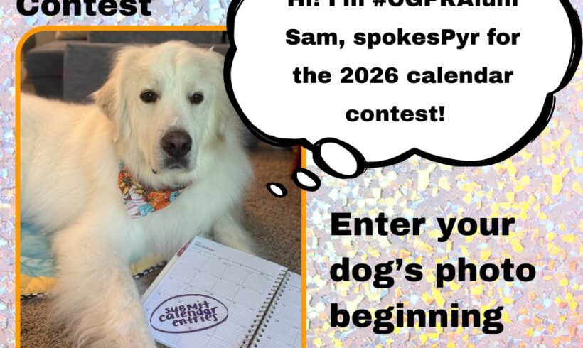 CGPR’s 9th Calendar Photo Contest