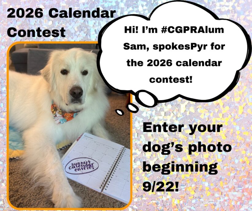 CGPR’s 9th Calendar Photo Contest