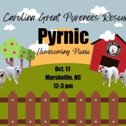 2025 homecoming Pyrnic at the rescue in Marshville, NC.