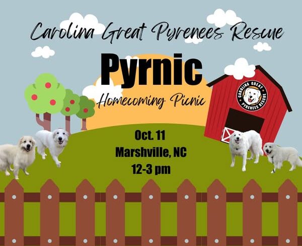 2025 homecoming Pyrnic at the rescue in Marshville, NC.