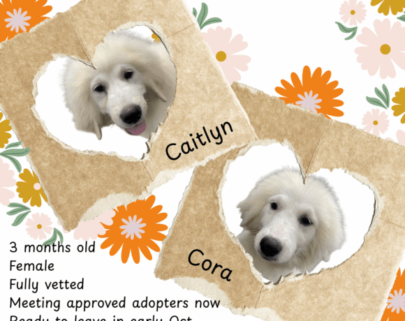 Cora and Caitlyn