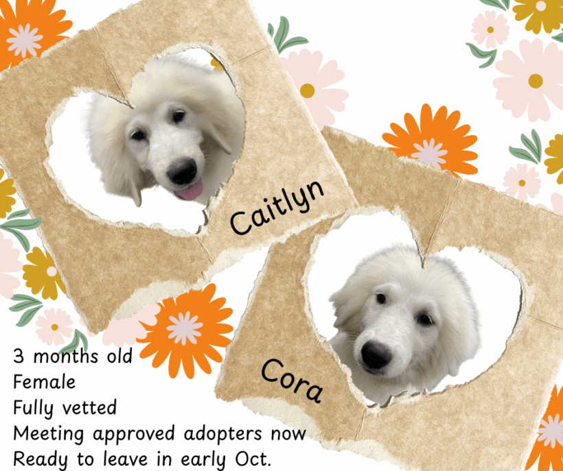 Cora and Caitlyn