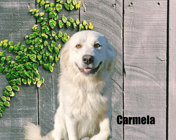 Carmela and Meadow Carmela and Meadow