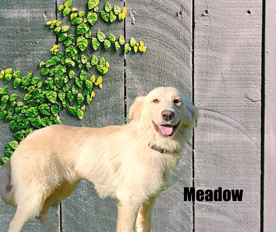 Carmela and Meadow Carmela and Meadow