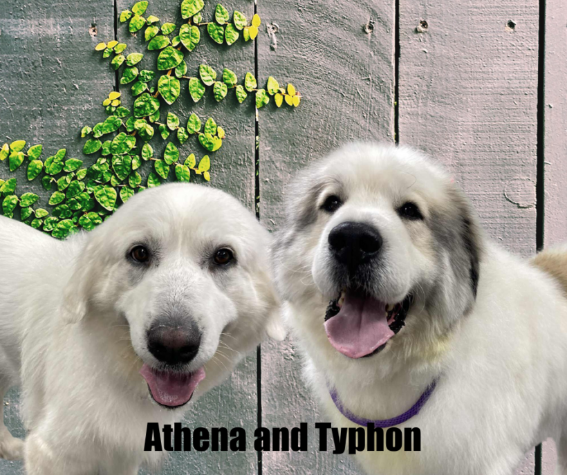 Typhon and Athena