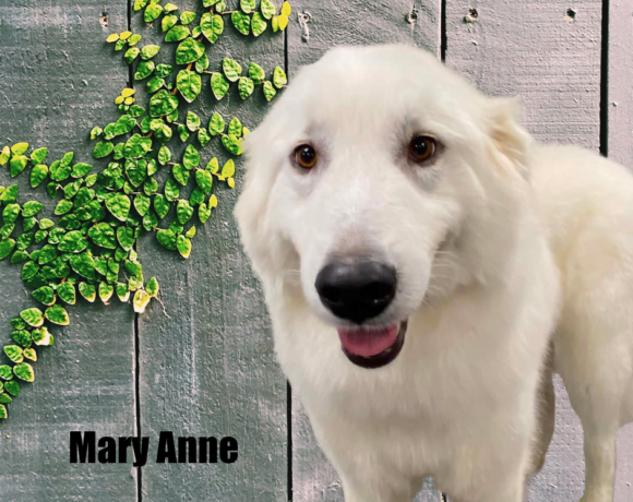 Wanda & Mary Anne