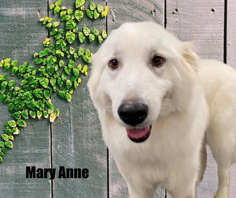 Wanda & Mary Anne