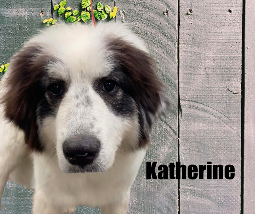 Charlie & Katherine