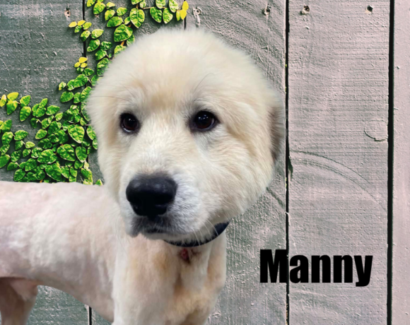 Manny
