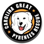 Account avatar for Carolina Great Pyrenees Rescue